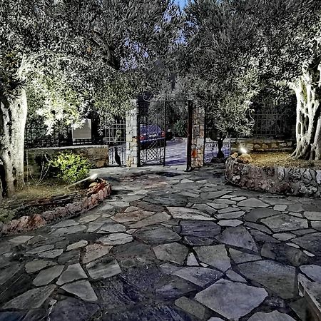 Elaion Thea-Nies Villa Sourpi Exterior photo