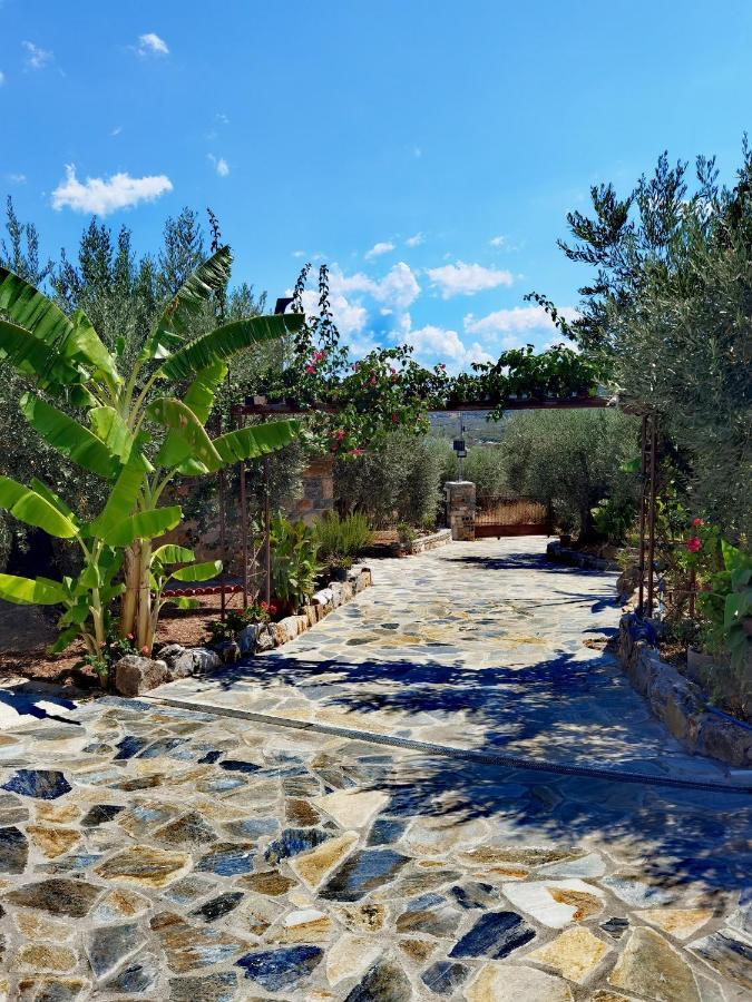 Elaion Thea-Nies Villa Sourpi Exterior photo